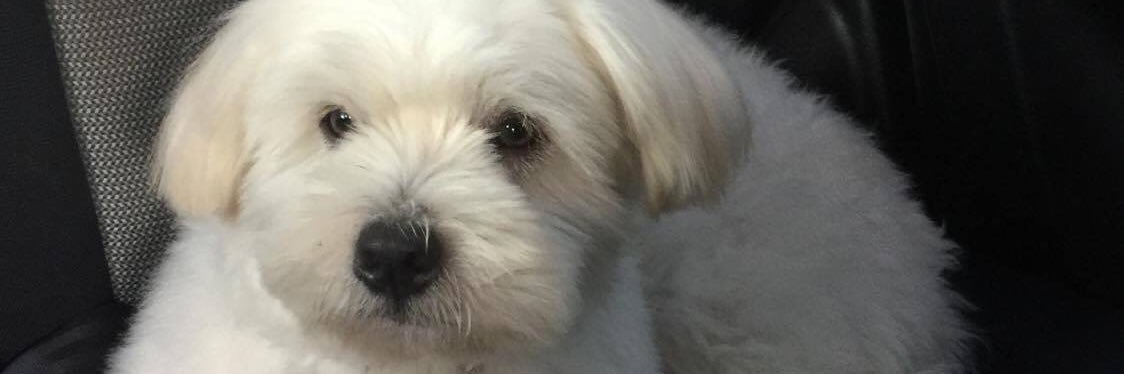 kylieeebee's profile banner image