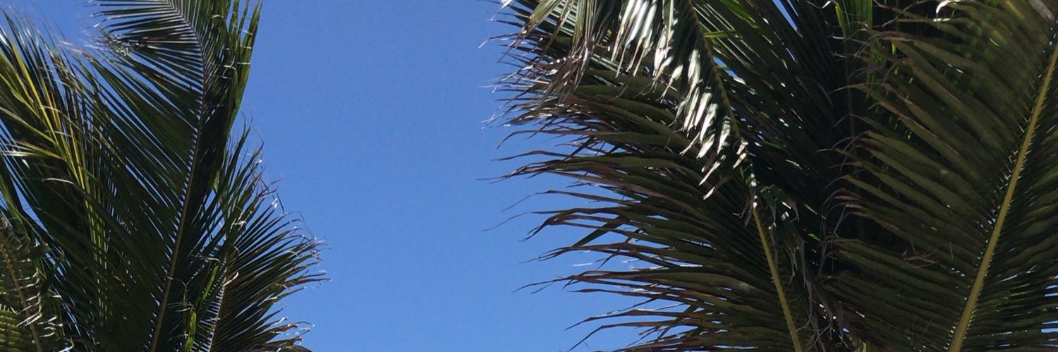 mcaponte6's profile banner image