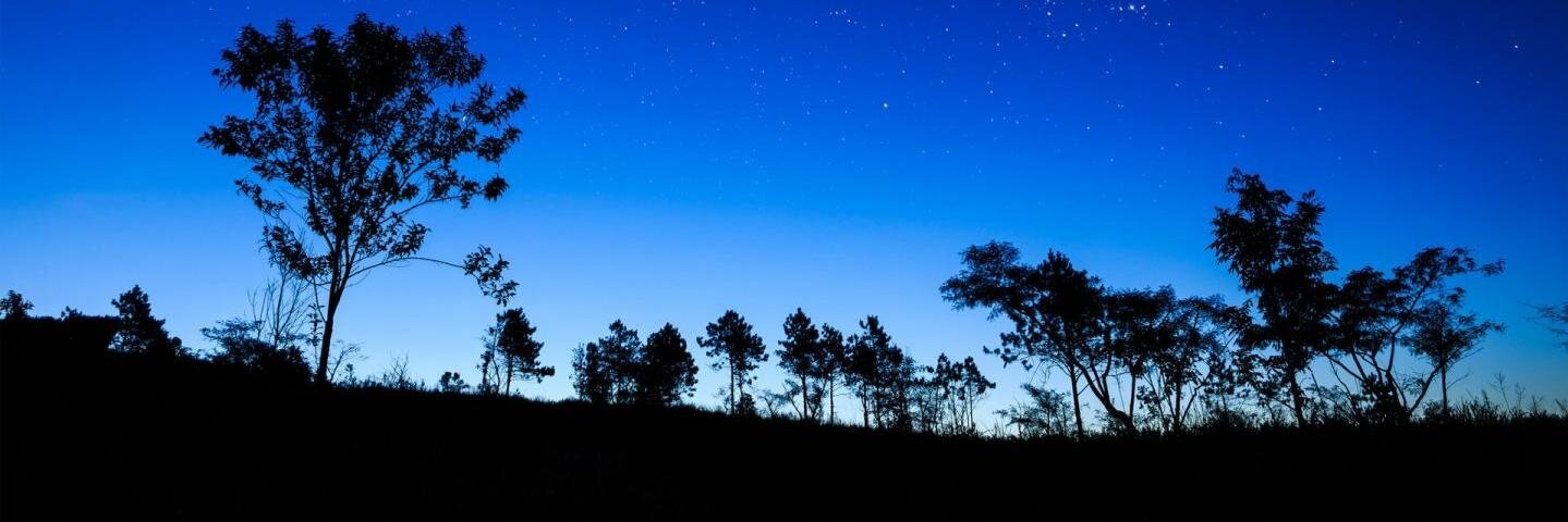 AnthonysCardozo's profile banner image