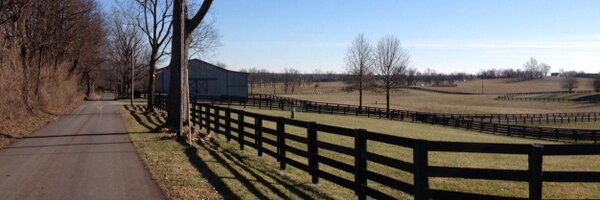 CatFanTam Profile Banner