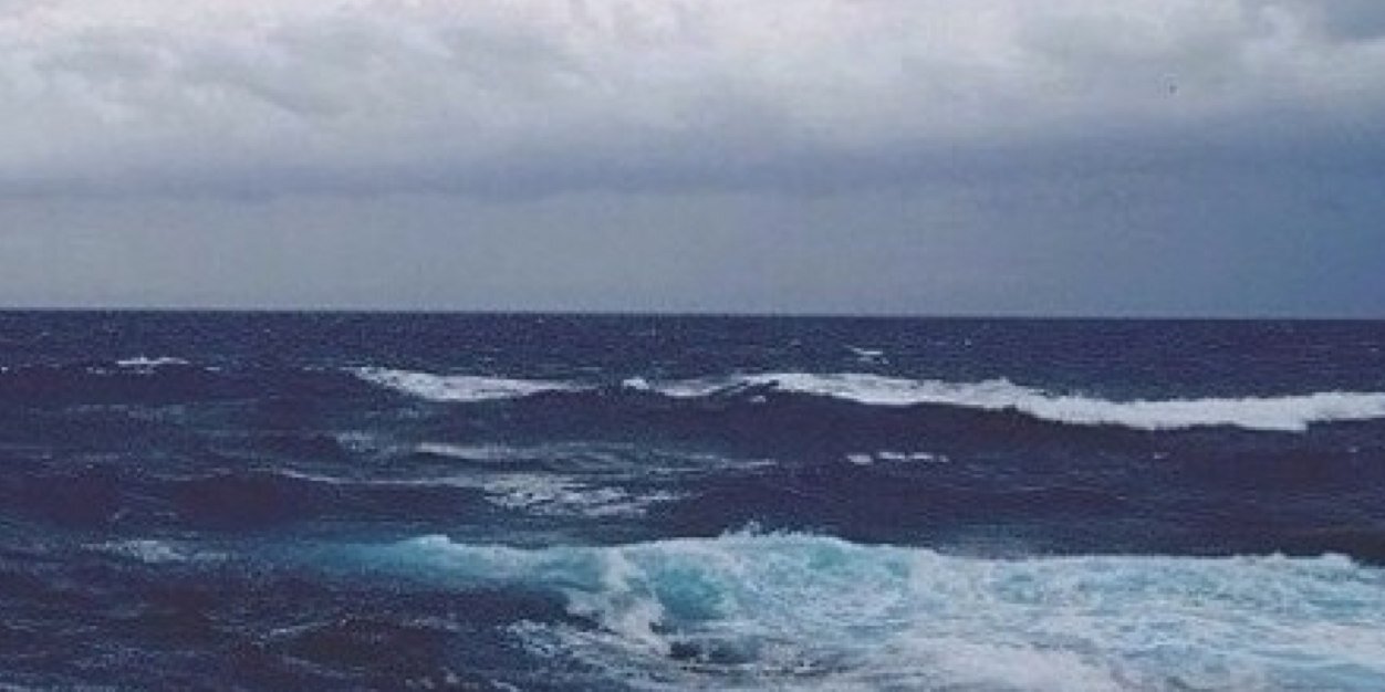 YaraTaleb1's profile banner image