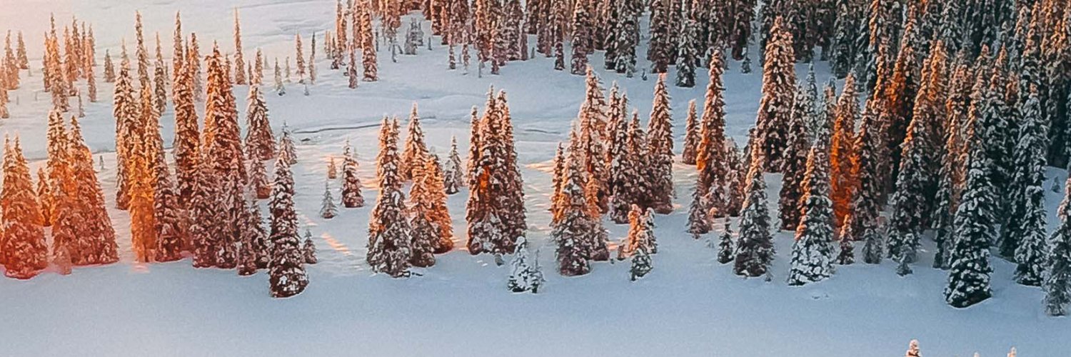 anne__stone's profile banner image