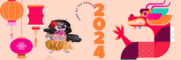 CaraHeilmann Profile Banner