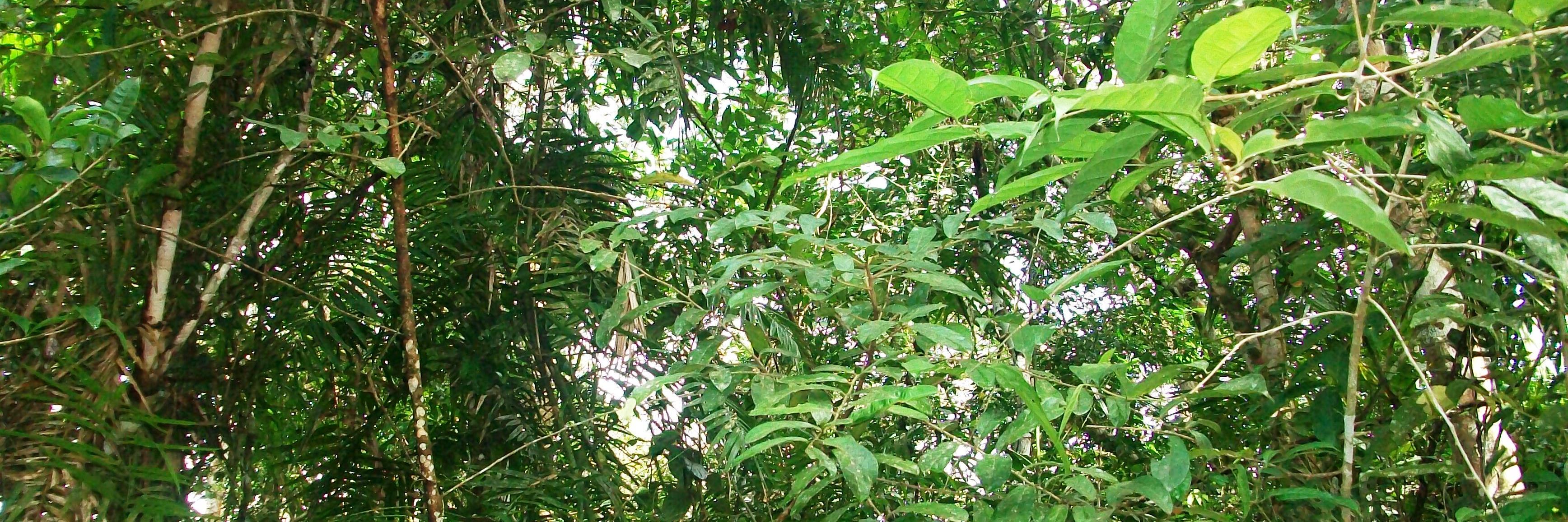 ERM Foundation banner