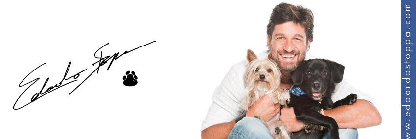 edoardostoppa's profile banner image
