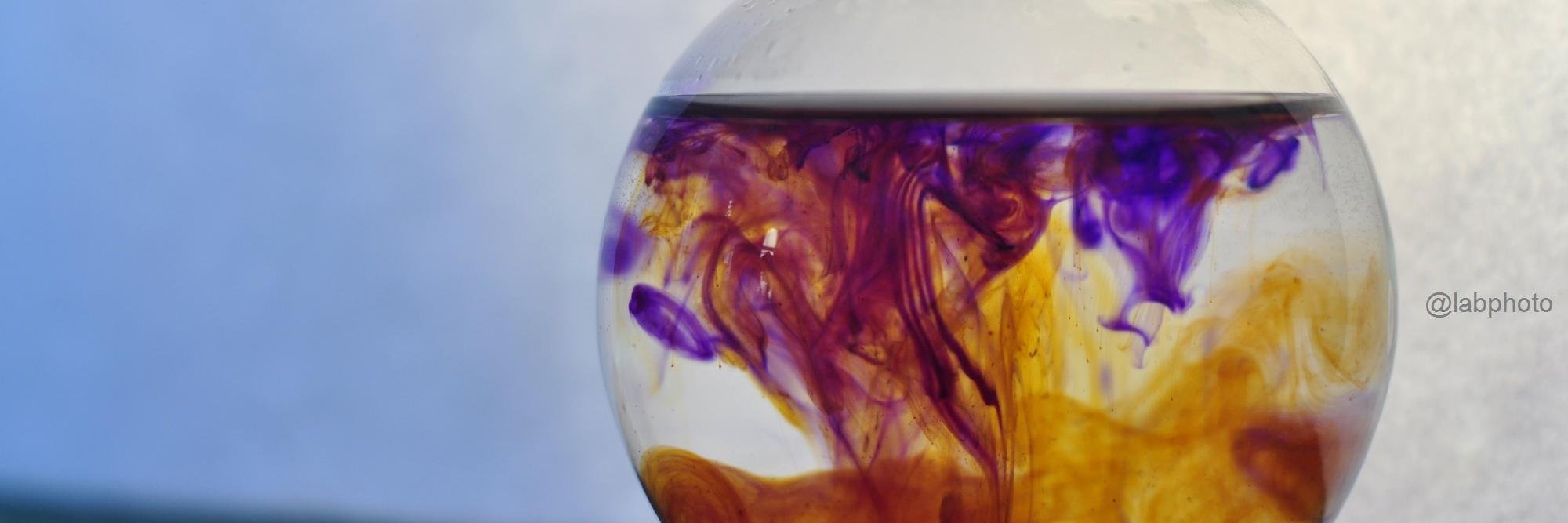 Renée Webster banner