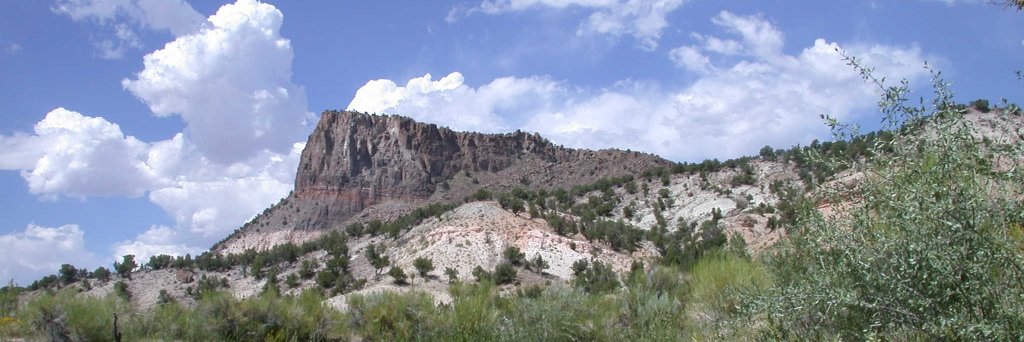 Western North American Naturalist banner