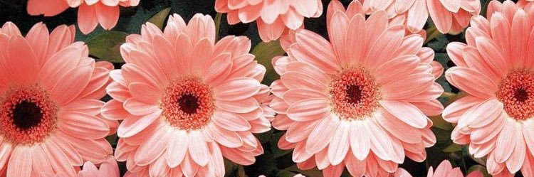 SimplyUnique_97's profile banner image