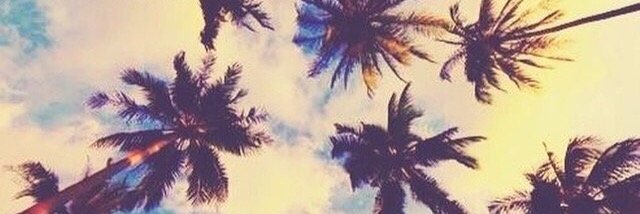 melthealchemist's profile banner image