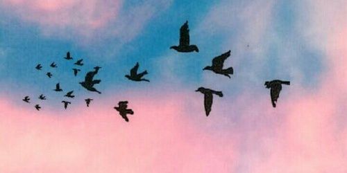 jocy_cabello's profile banner image