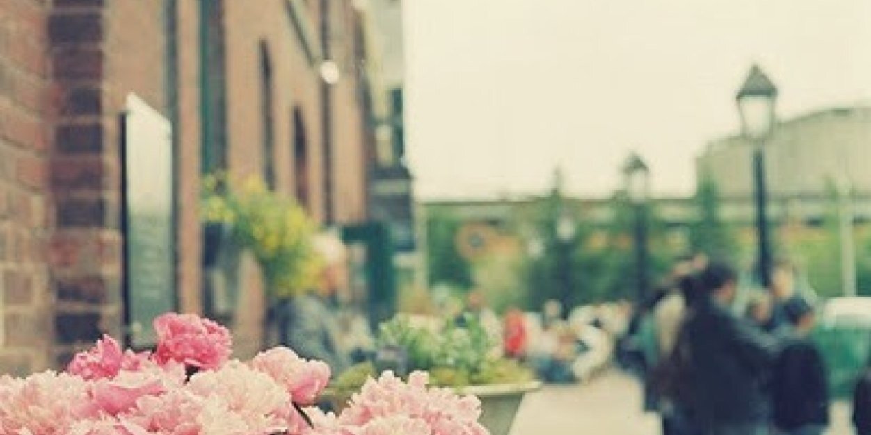 hboosh228's profile banner image