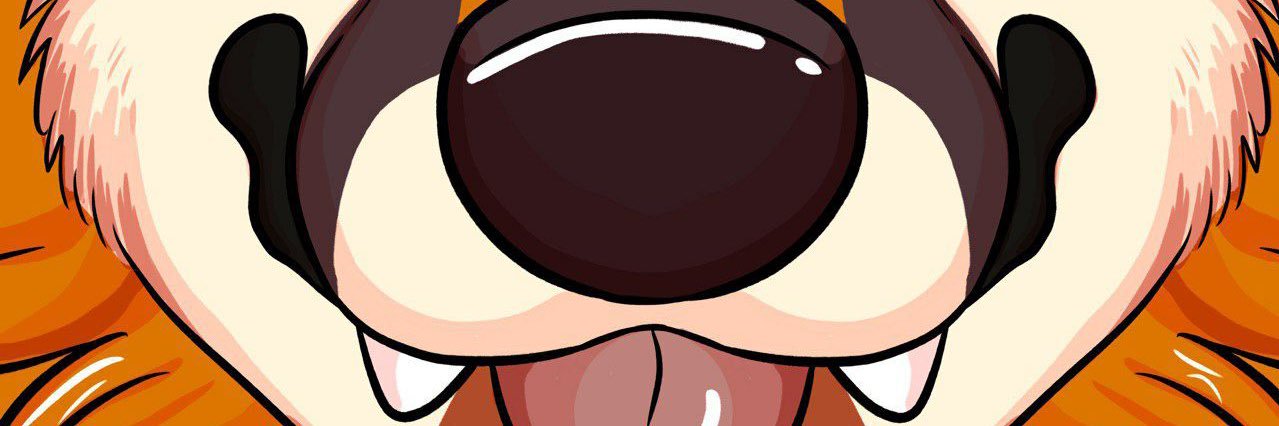 🏳️‍🌈Irishfox🍀 banner