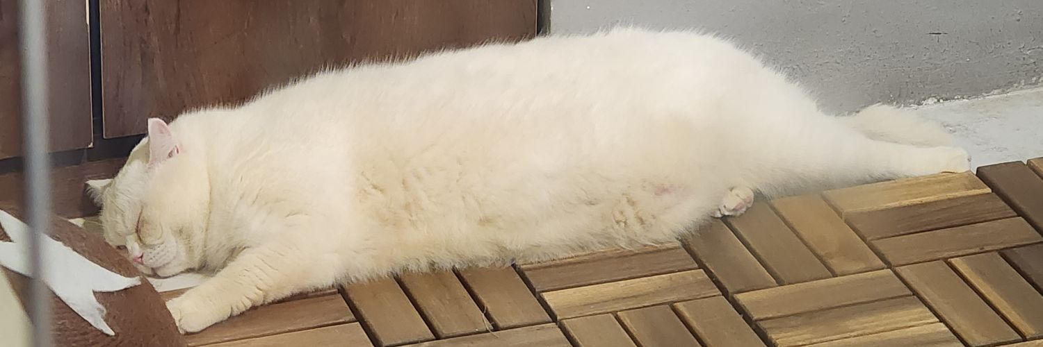 reio3o_'s profile banner image