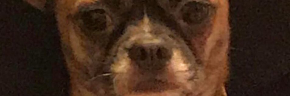 bruceee__'s profile banner image