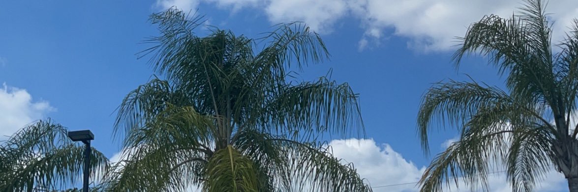 anggibson09's profile banner image