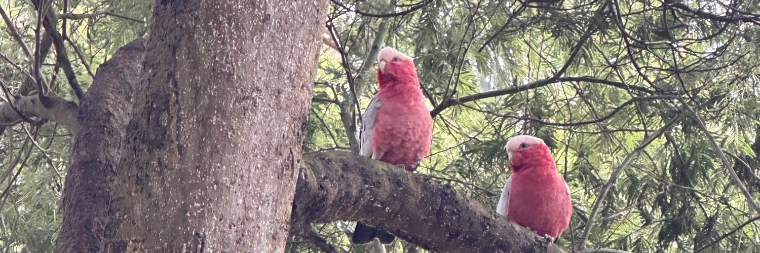 தீபன் தேவ் banner