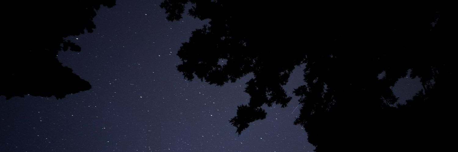 Dani López 🚀 banner