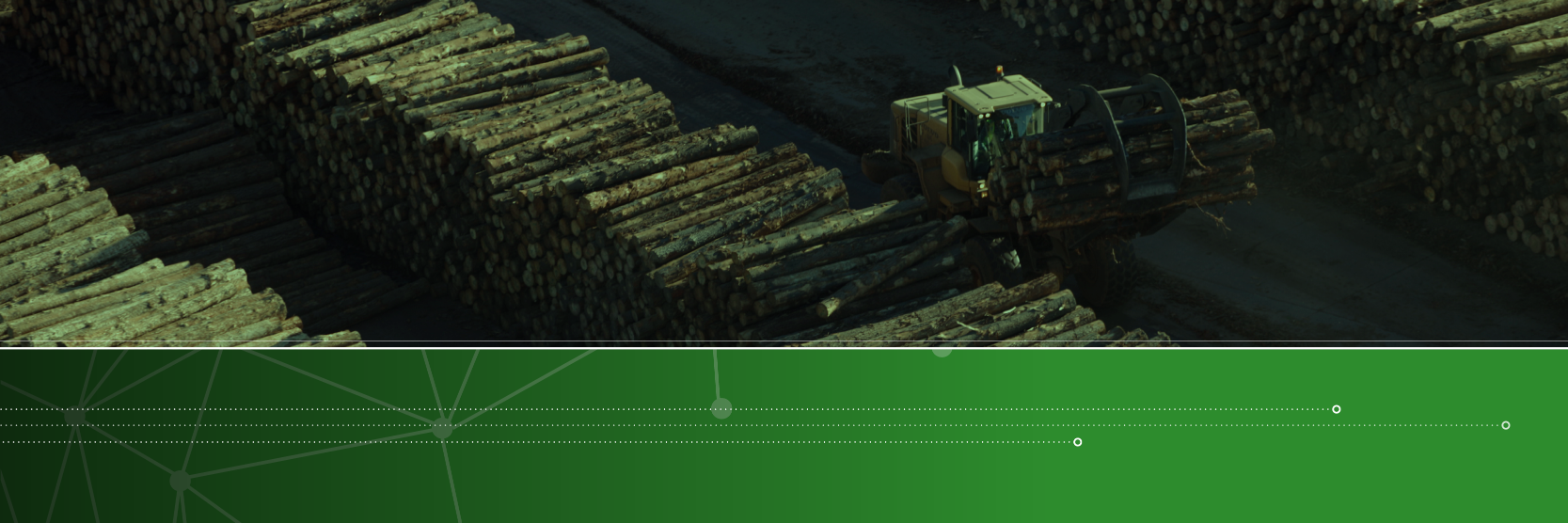 LIGNUM banner