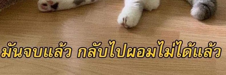 💚แพรี่ของพี่แทคคลู💙 banner