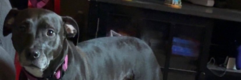Huffster14's profile banner image