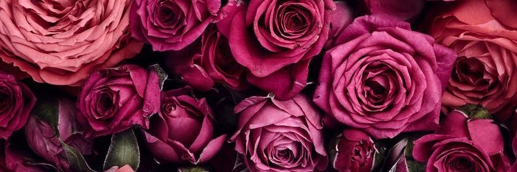 Rach_catherinee's profile banner image