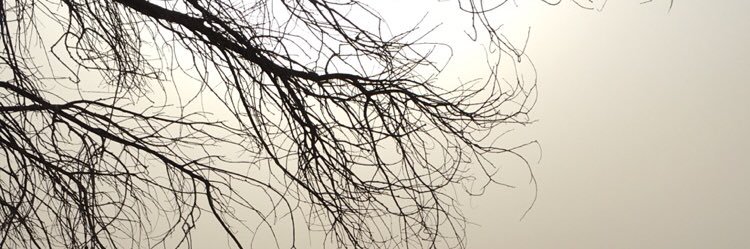 Majed_AlN's profile banner image