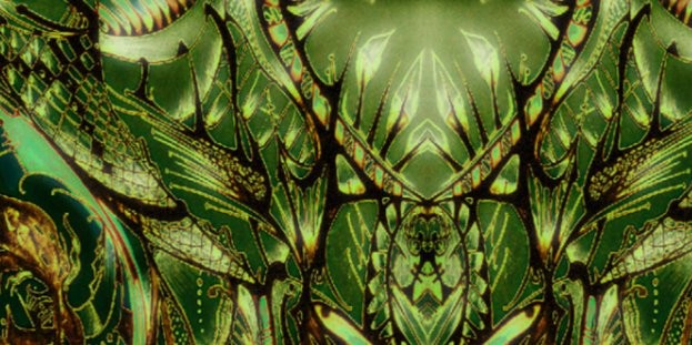 nikabot's profile banner image