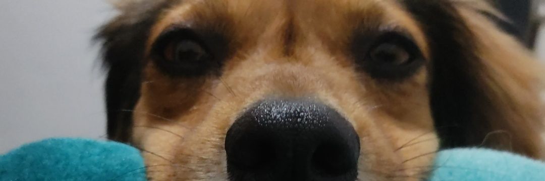 ThataFragoso's profile banner image