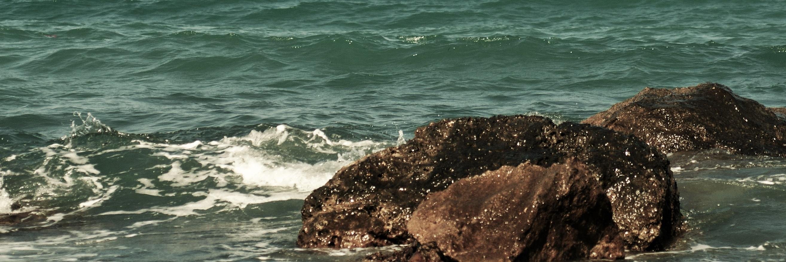 Van_e91's profile banner image
