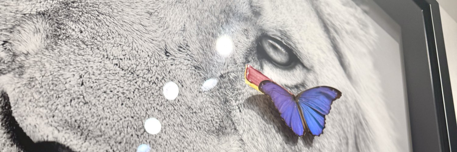 qone8five's profile banner image