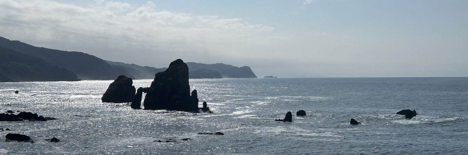 Elena Sanchez banner