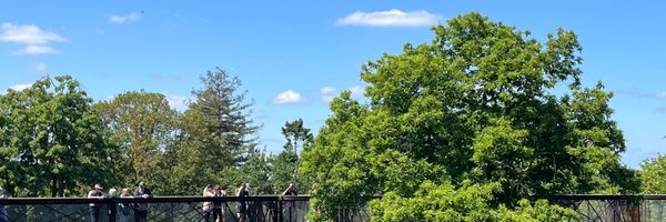 hermanymv Profile Banner