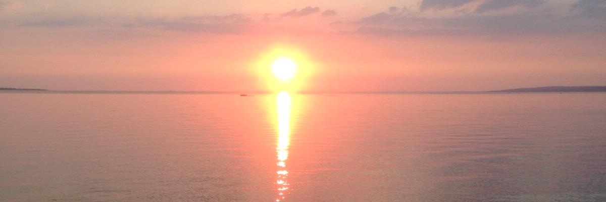sbarber93's profile banner image