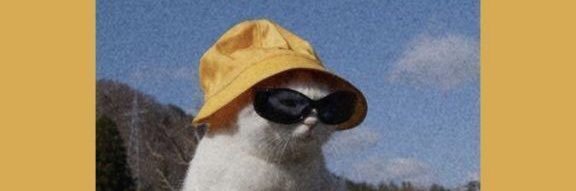 liltrashfire's profile banner image