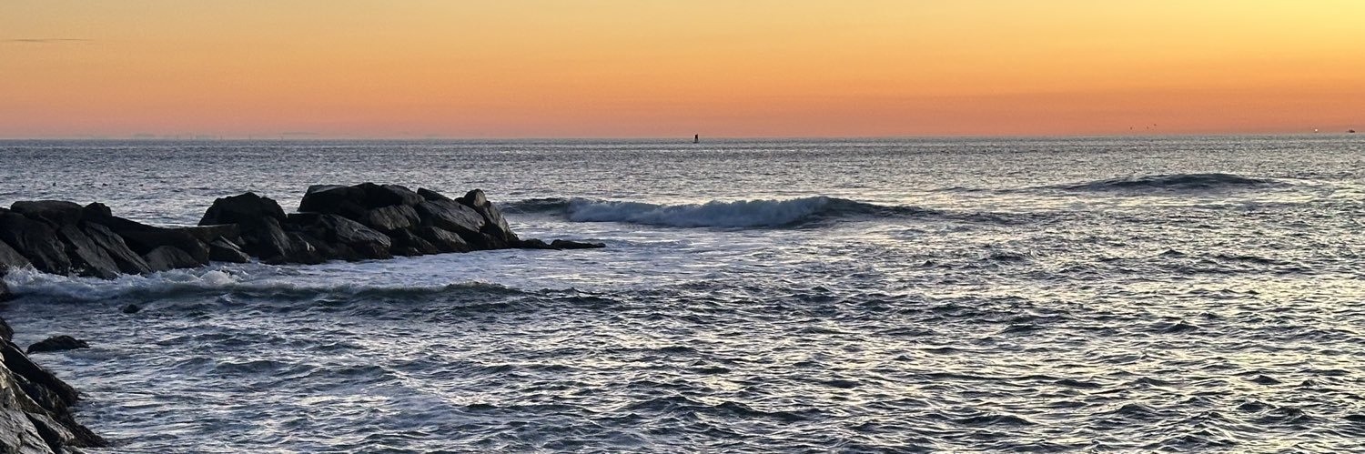 David Raleigh banner