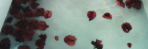 _jenbriaa's profile banner image