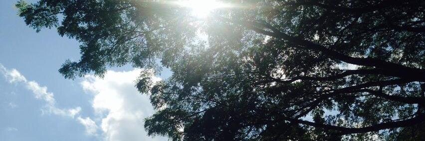 LinNurlin's profile banner image