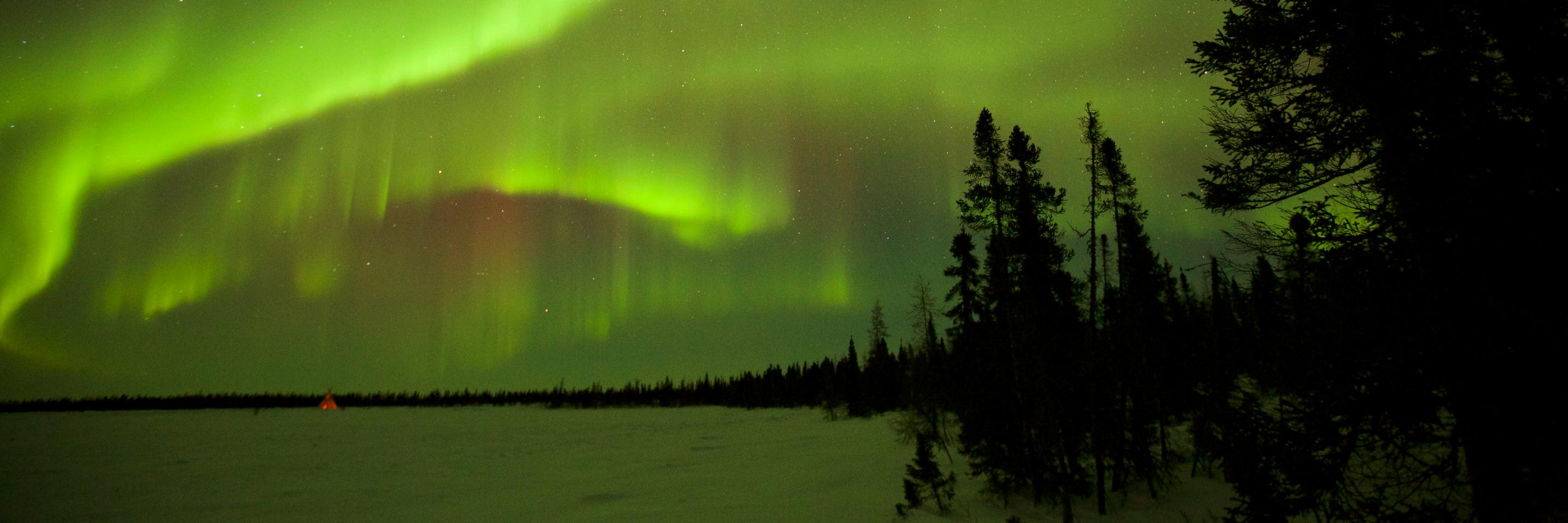 WildCanadaDoc's profile banner image