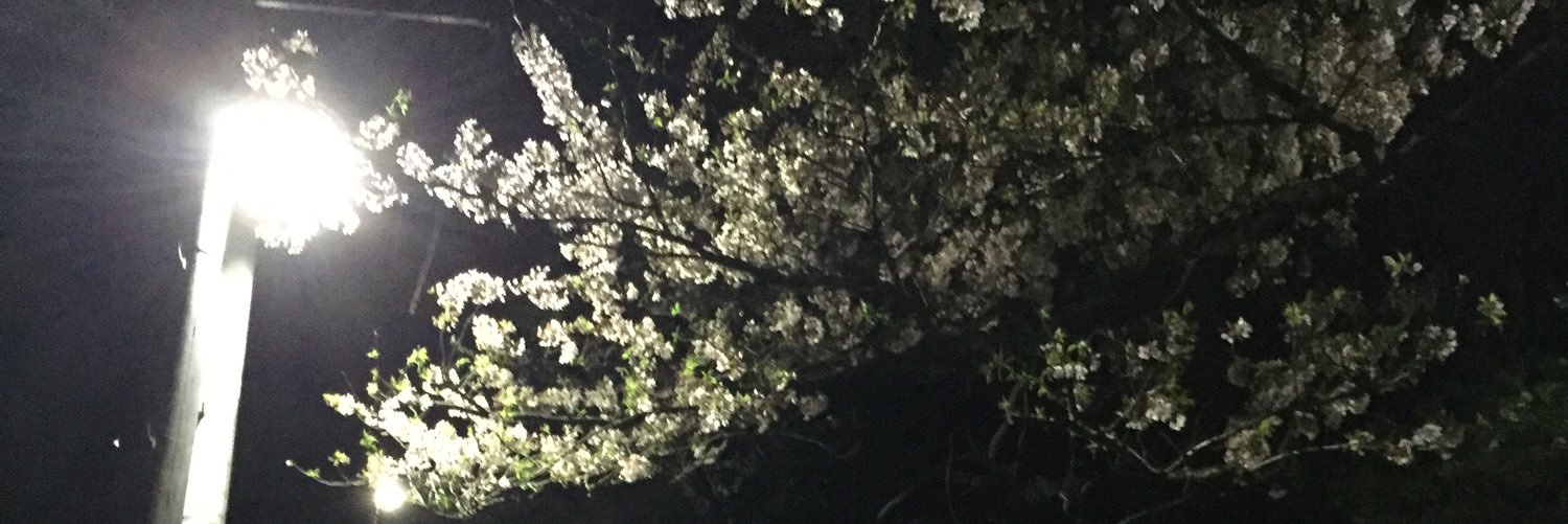 ody011's profile banner image