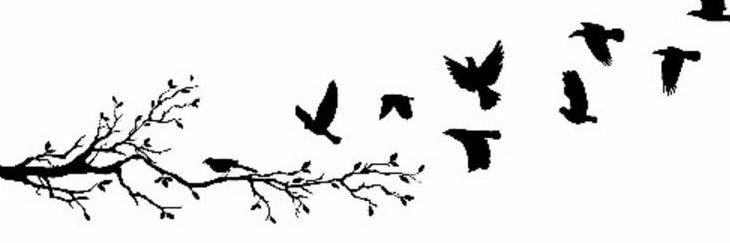 shwa522's profile banner image