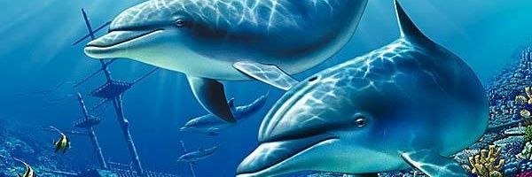 bebepfm's profile banner image