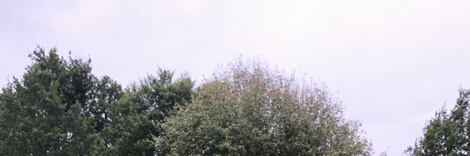 SupportDevTom's profile banner image