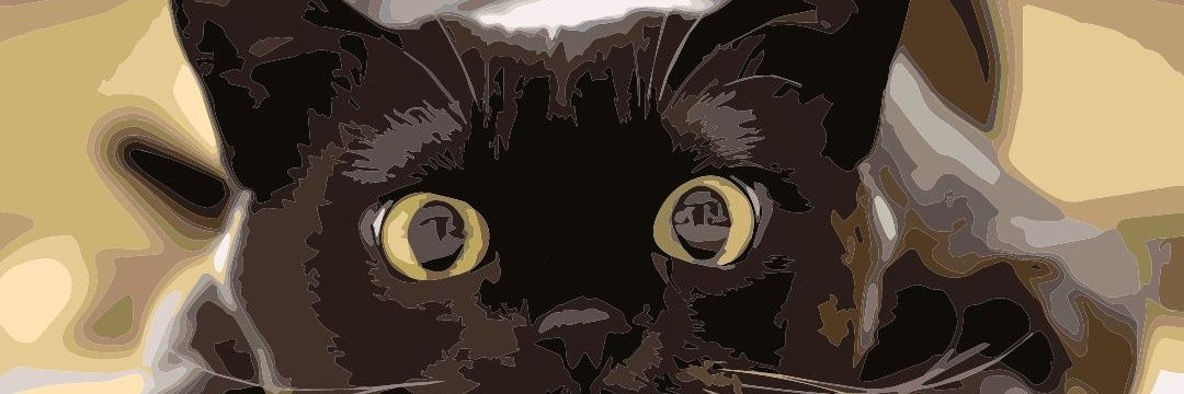 しるば☆かっか banner