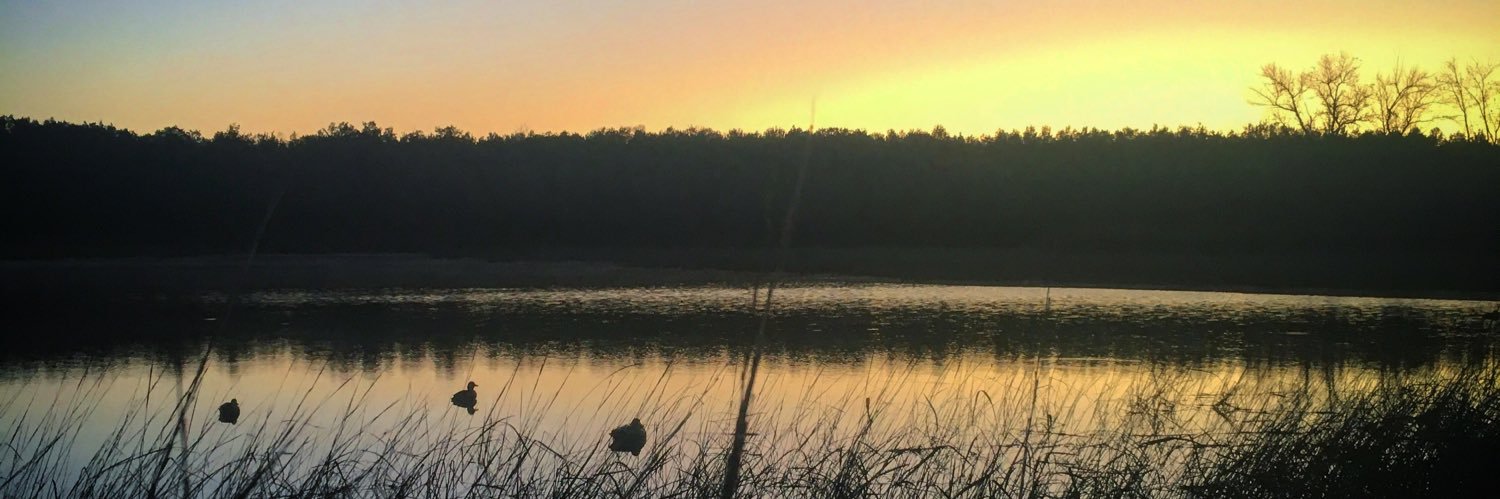 TLawrenceR's profile banner image