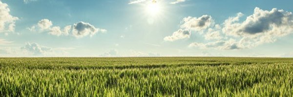 NicolasMartelli's profile banner image