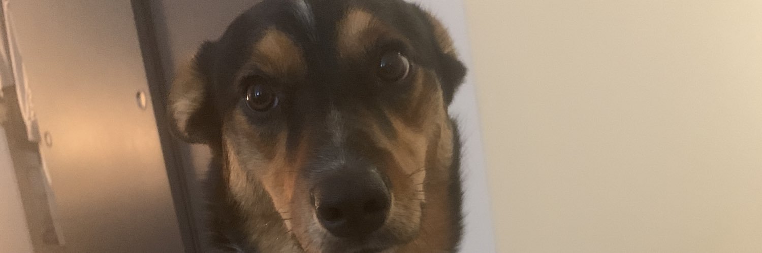 Ellawinkwolfe's profile banner image