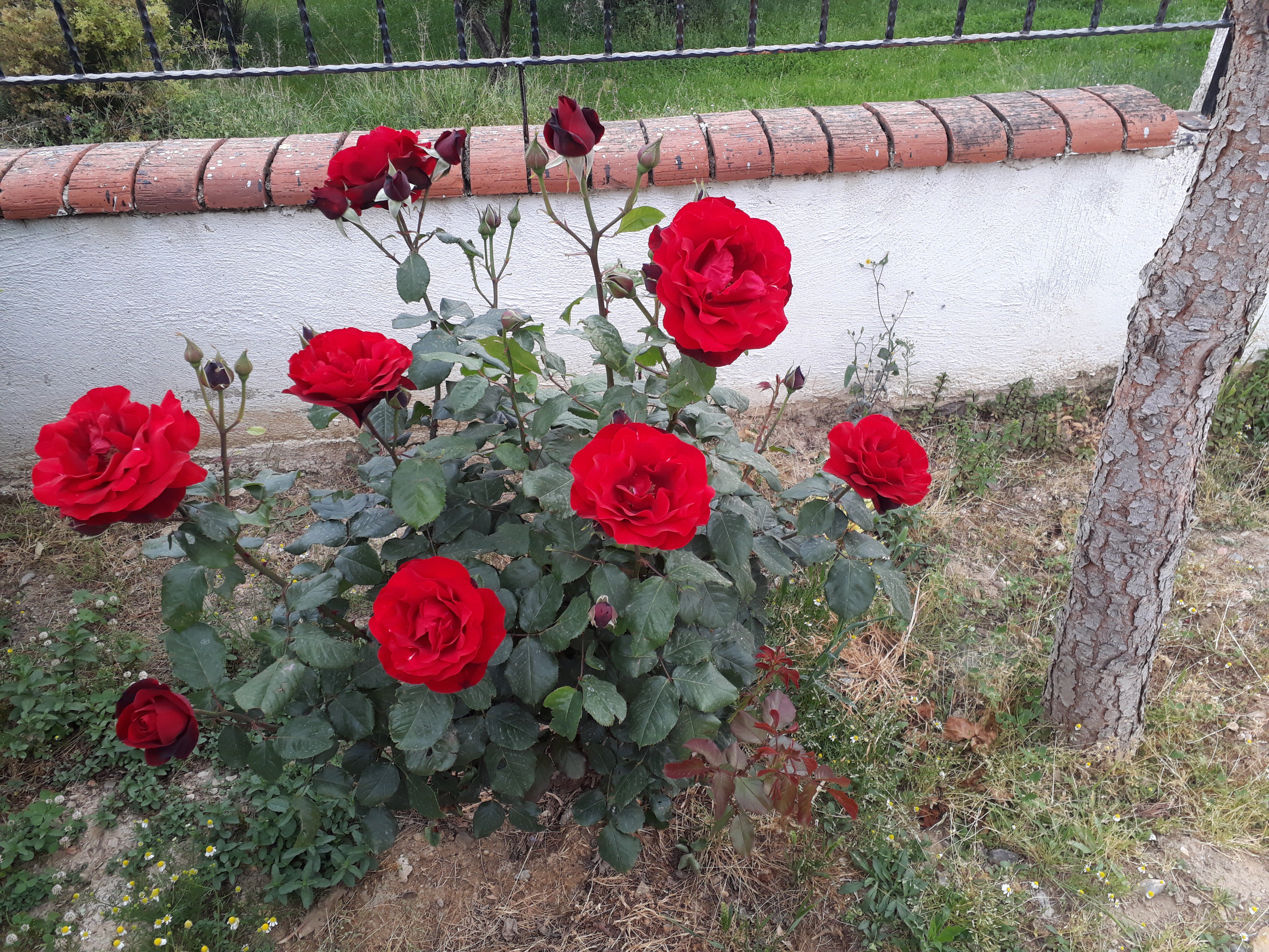 ahmeterdem07's profile banner image