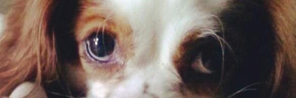 tipoo2's profile banner image