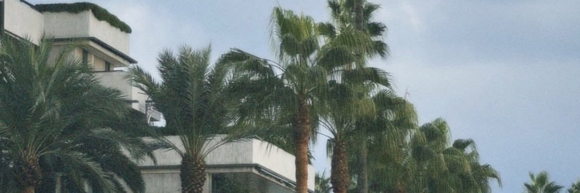 BaruchetM's profile banner image
