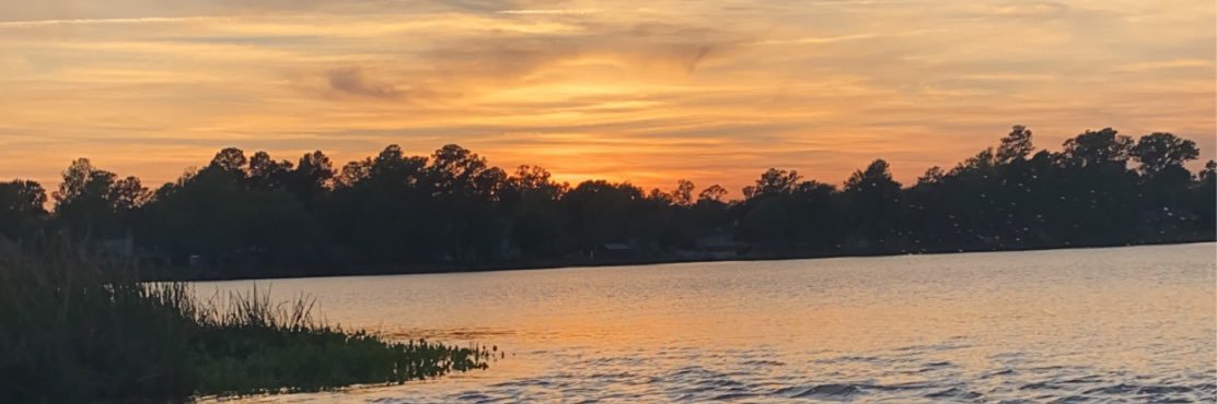 Amanda_Panda01's profile banner image